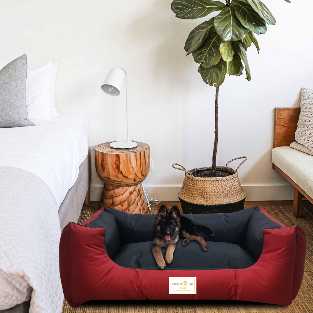 House of Furry Fully Waterproof High Bolster Ciru Bed for Dogs and Cats (Multicolor)