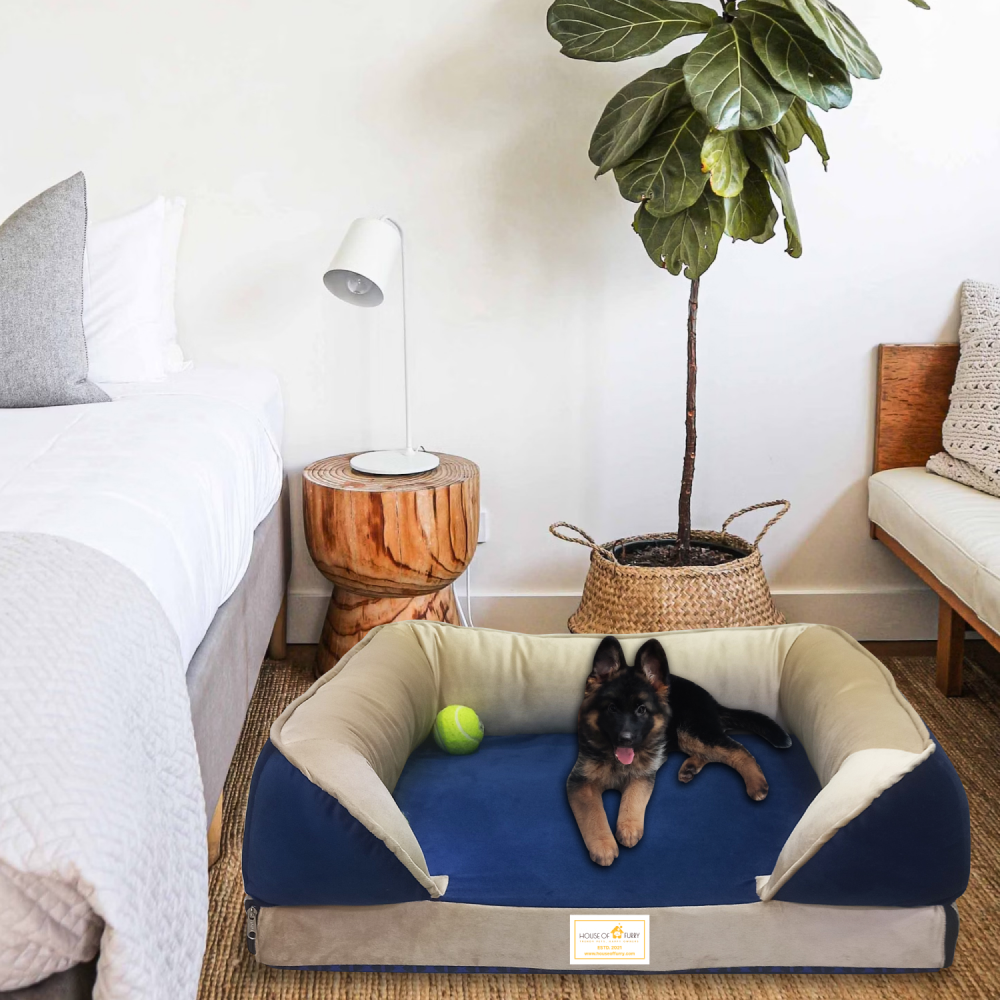 House of Furry Turkish Velvet Orthopedic Bolster Gunthar Bed for Dogs and Cats (Multicolor)